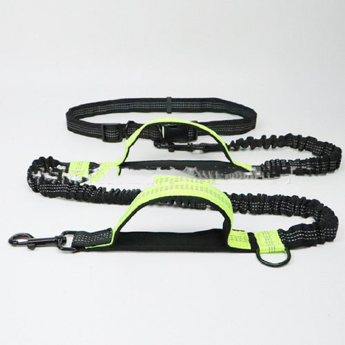 Wag & Whiskers Multifunctional Pet Traction Rope